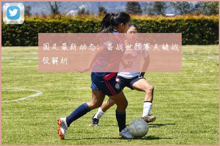 国足最新动态：备战世预赛关键战役解析